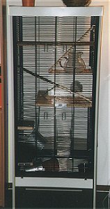 This cage is especially suitable for degus. It's big and made of metal.